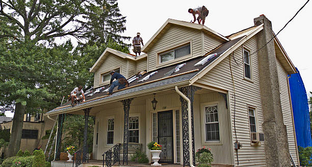 Best Roof Maintenance Services  in Mount Carmel, OH